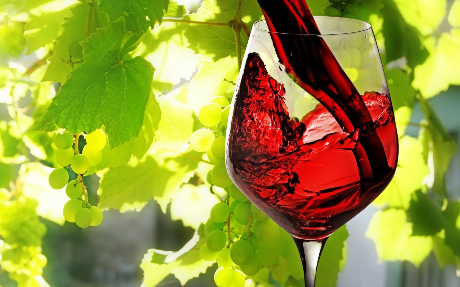 Drinks Wallpapers Drinks Wallpapers