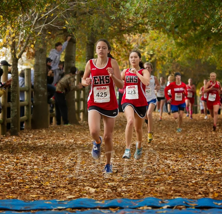 ELKMONT ALABAMA ELKMONT CROSS COUNTRY TEAM AT STATE