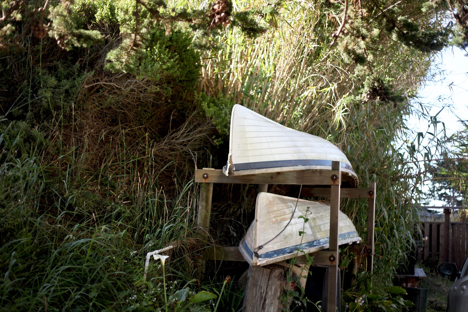 house of habit Tomales Bay with Airbnb