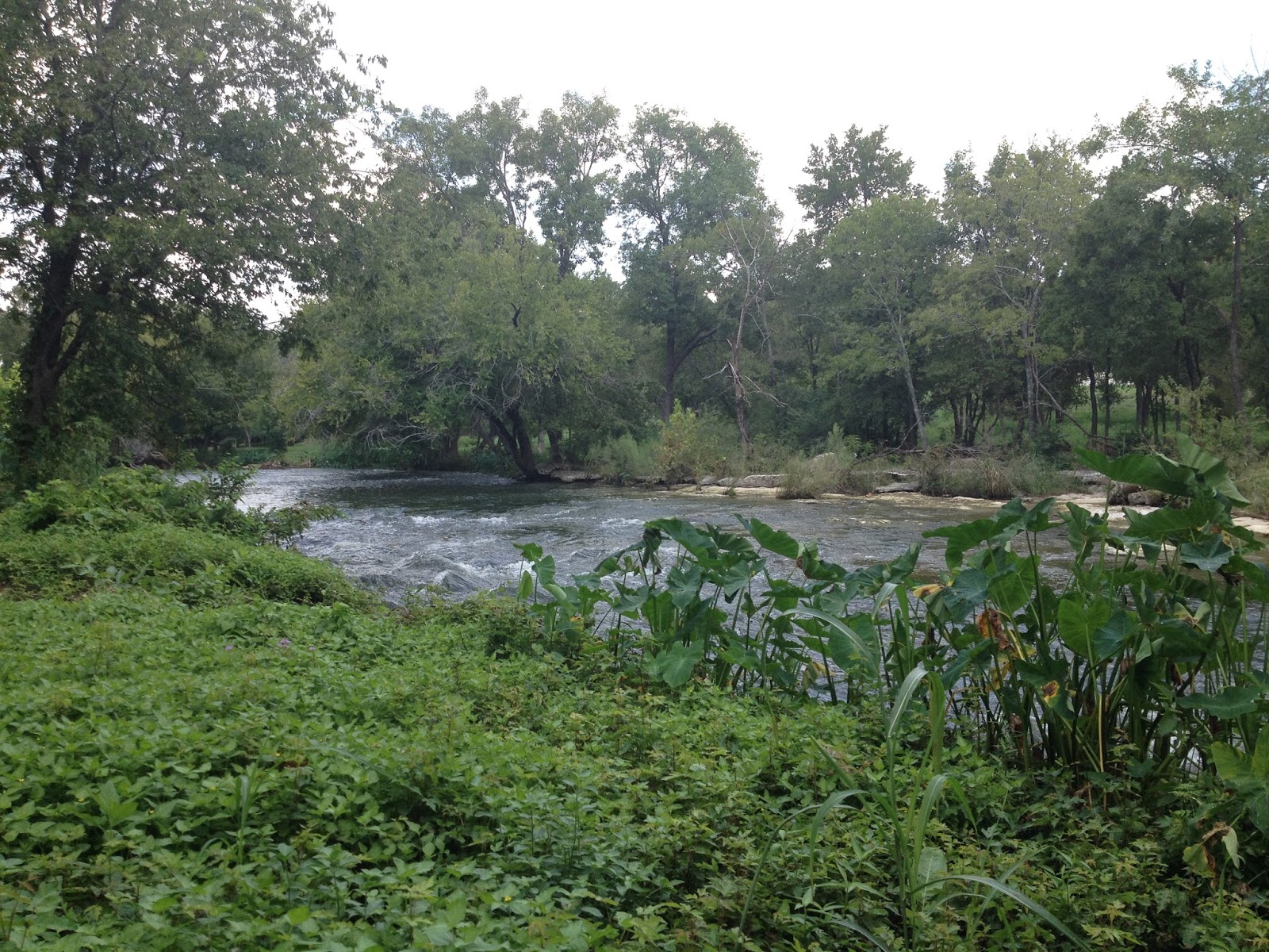 Somewhere In The Middle of Texas Chisholm Trail