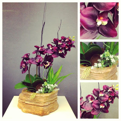 BUNGA BUTTERFLY ORCHID