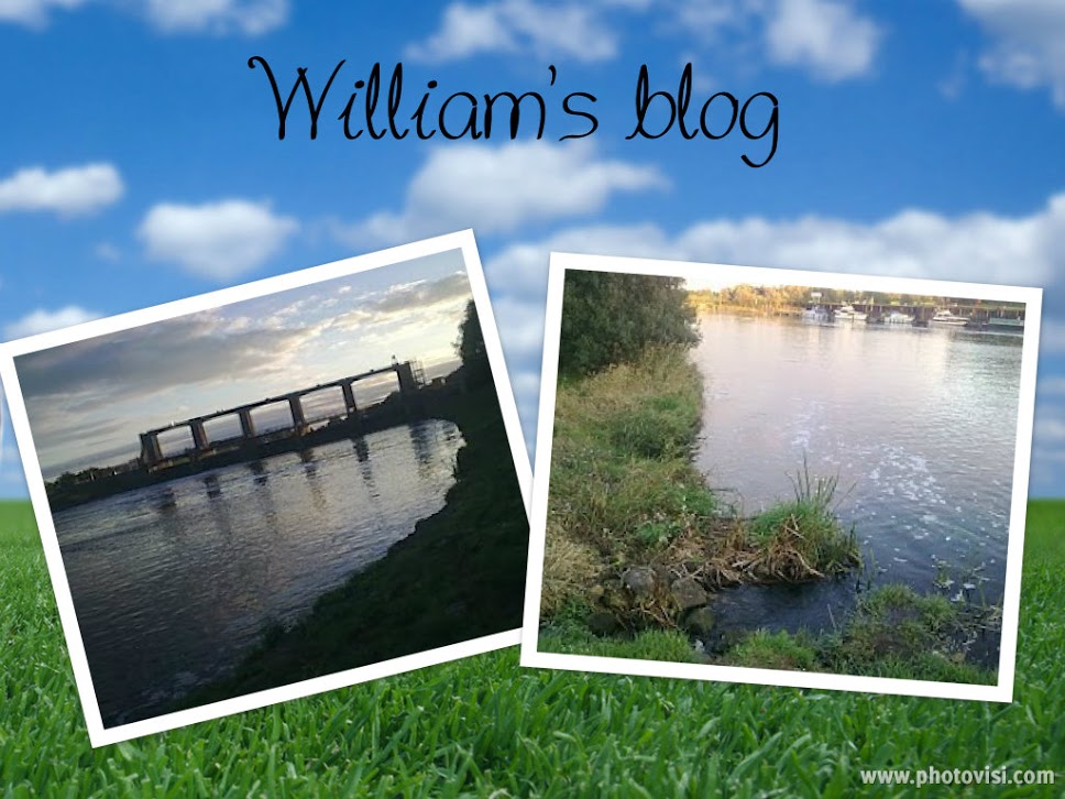 William's blog
