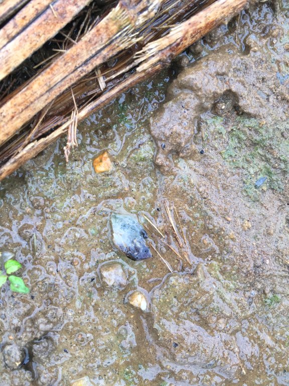 Dishfunctional Designs A Rockhound's Crystal Hunting Field Trip