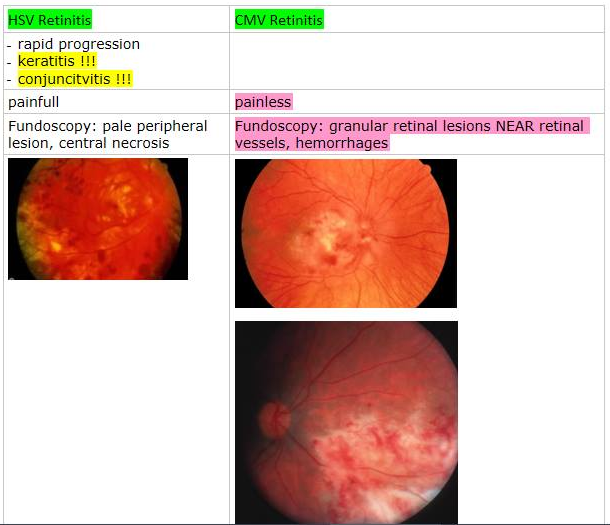 download die korrosion der metalle physikalisch chemische prinzipien und aktuelle