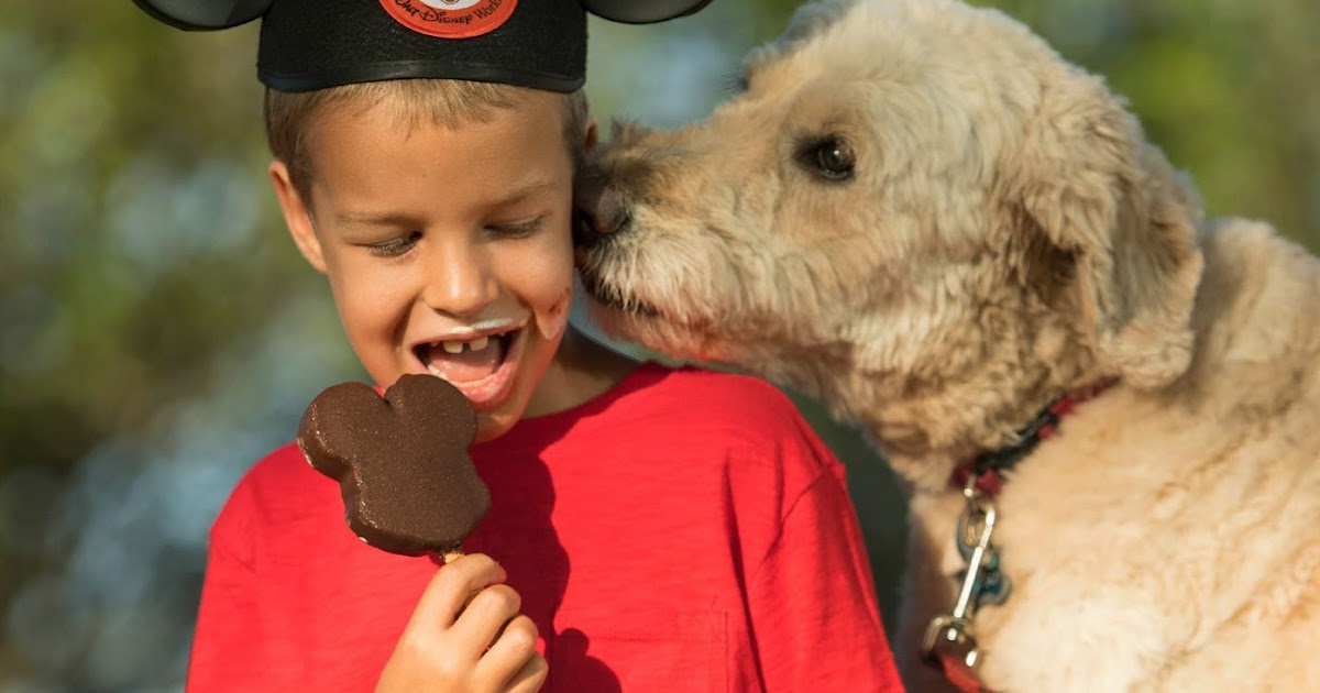 Select Walt Disney World Hotels Guests and Their Dogs
