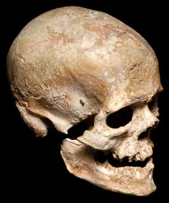 Cro magnon dates of existence cro magnon dates of existence