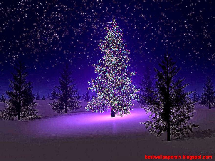 Beautiful 2014 Christmas Trees HD Free HD Download