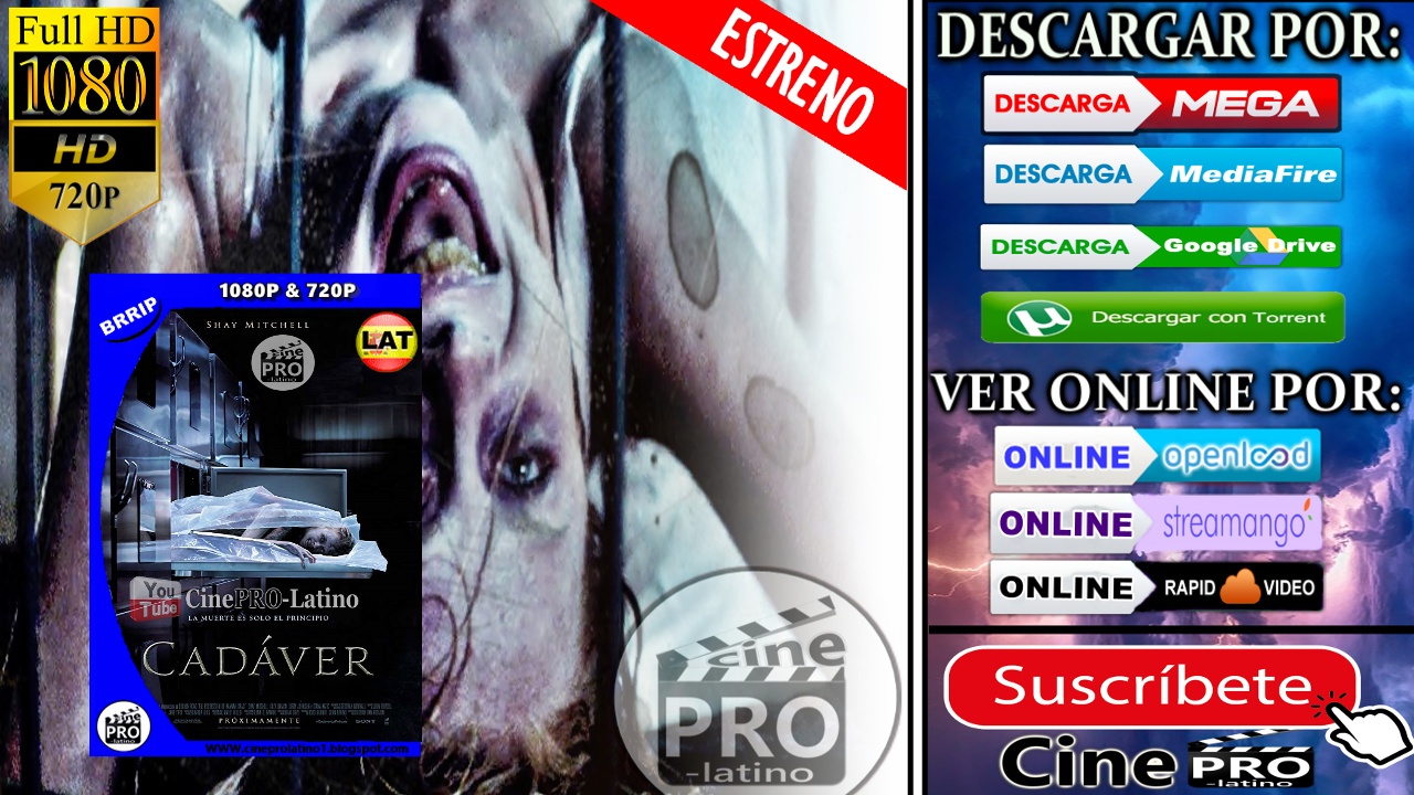 descargar rakion latino por mega 2018 descargar rakion latino por mega 2018