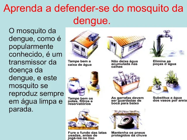 Prevenção contra a dengue
