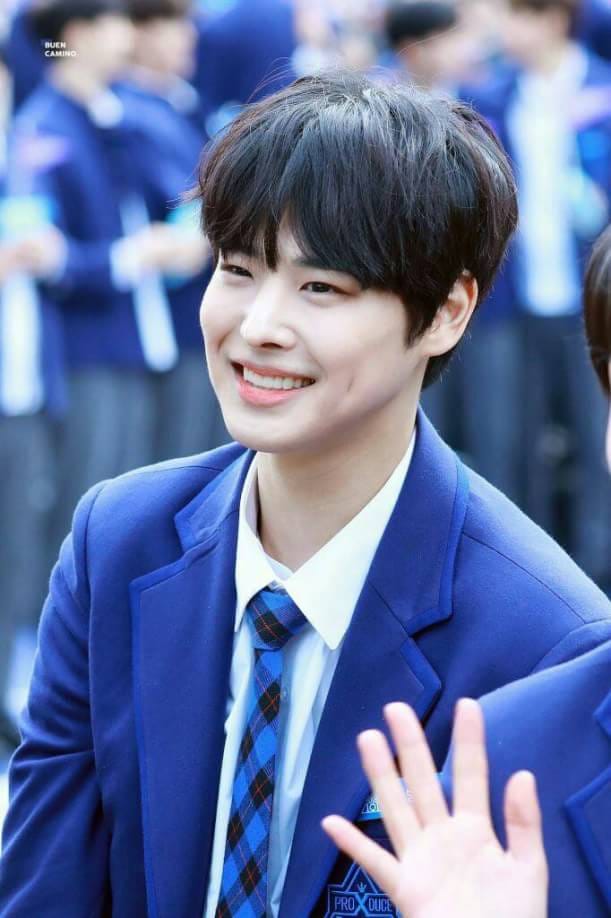 profil biodata dan fakta lengkap choi byungchan produce x profil biodata dan fakta lengkap choi byungchan produce x