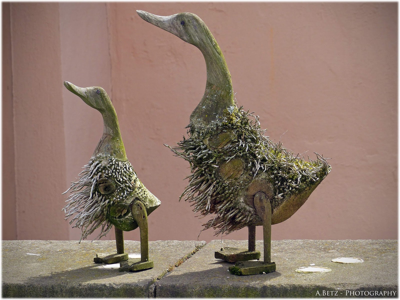 Facile Et Beau Gusta