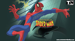 spectacular spider cartoon episodes 2008 network animated hindi spiderman goblin wallpapers peter parker movies
