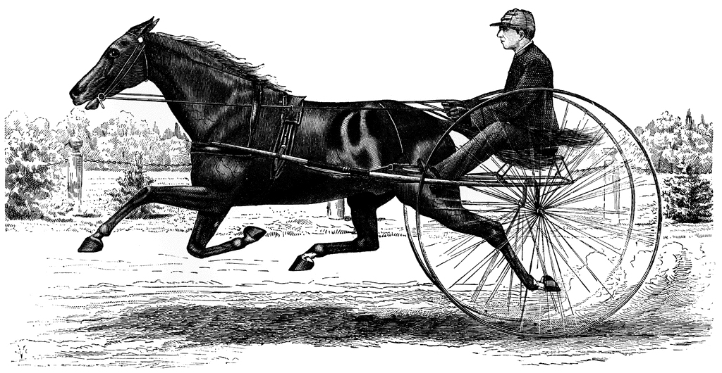 free clipart horse and buggy - photo #37
