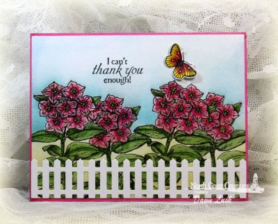 North Coast Creations, Floral Sentiments 7 North Coast Creations, Floral Sentiments 7