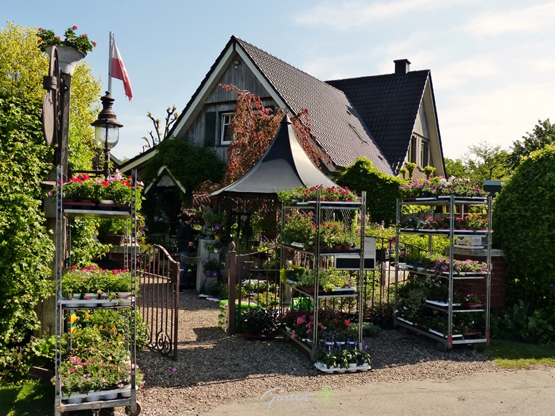 Diy Vogelfutter Selber Machen Fashion Kitchen