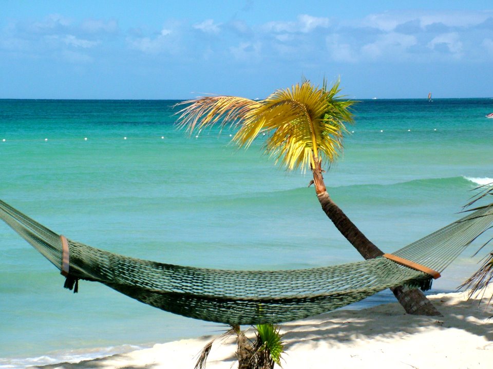 Key West on a Budget Key West on a Budget