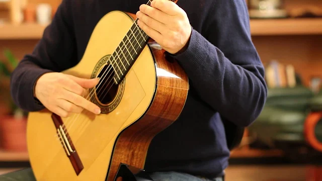 belajar tremolo gitar klasik untuk pemula peterdevries guitar