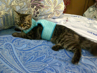 baju rajut kucing, crochet kitten cardigan