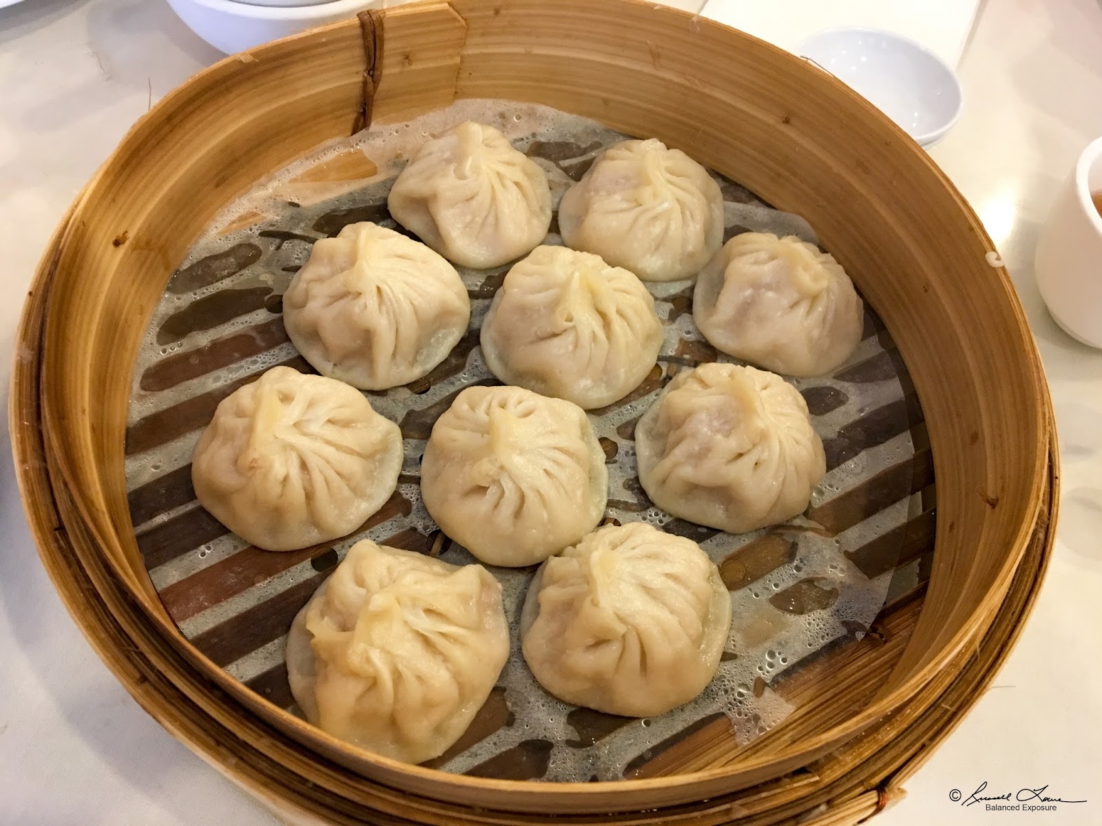 Russ' Culinary Adventures Xiaolongbao and Noodles Dumpling Kitchen