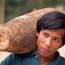 Chùm ảnh: Mưu sinh bằng bom đạn giữa thời bình ở Việt Nam