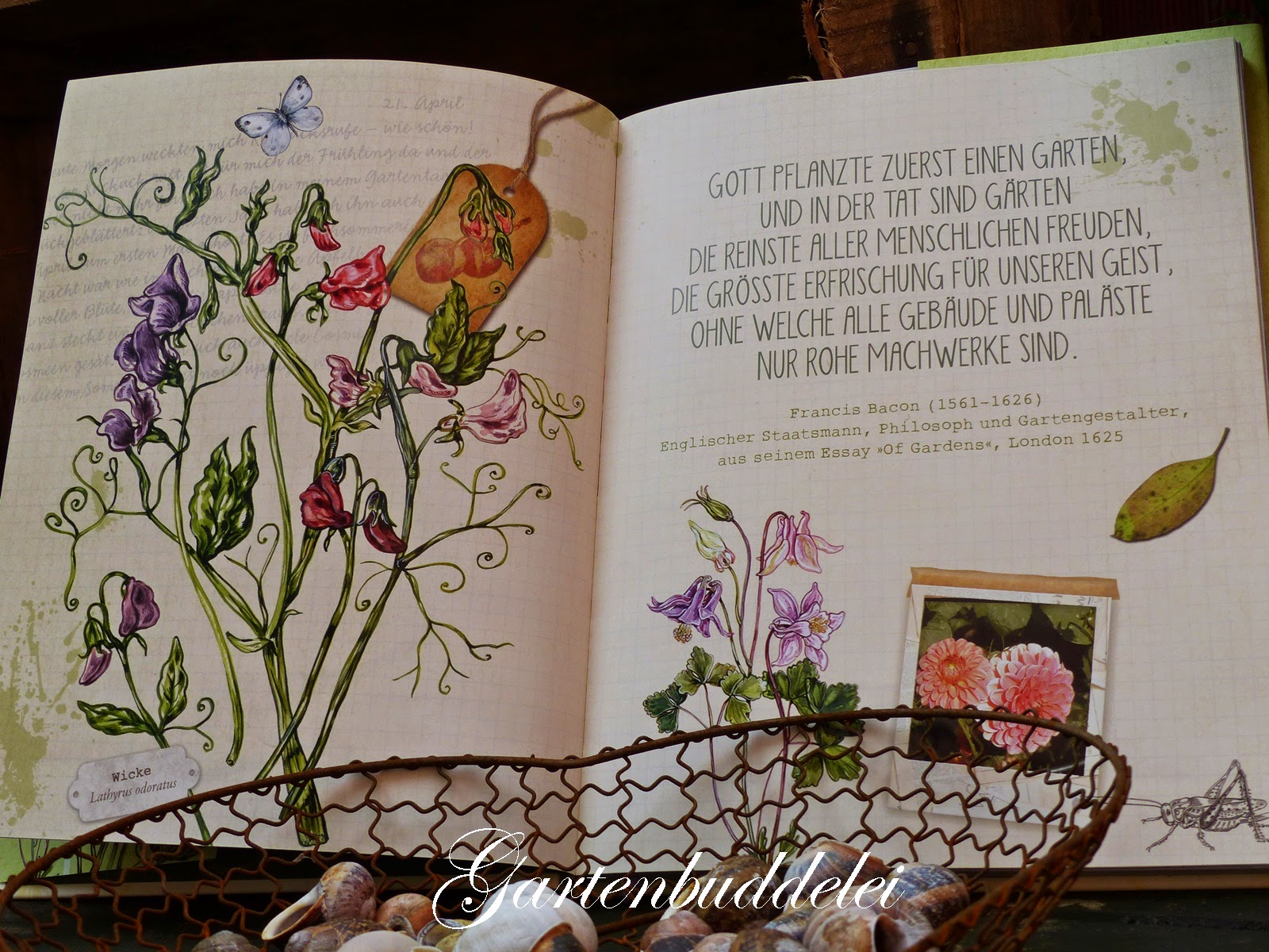 Gartenbuddelei Gartenglück und Sommerzauber Eine Buchvorstellung und