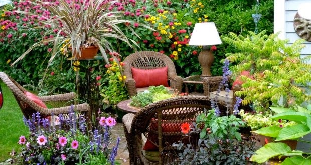 Plantas e Jardins: plantas, flores e jardinagem : dicas de jardinagem