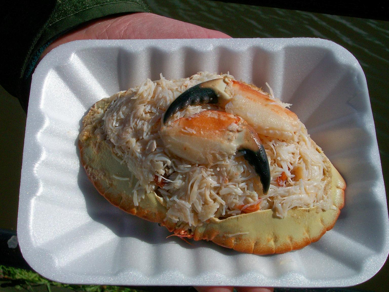 What's He Up To Now! Yorkshire holiday...