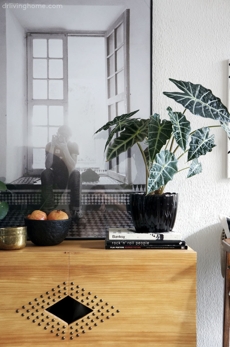 Decora tu pared con fotos personalizadas