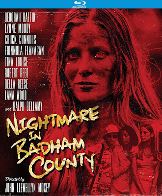 Nightmare In Badham County Bluray