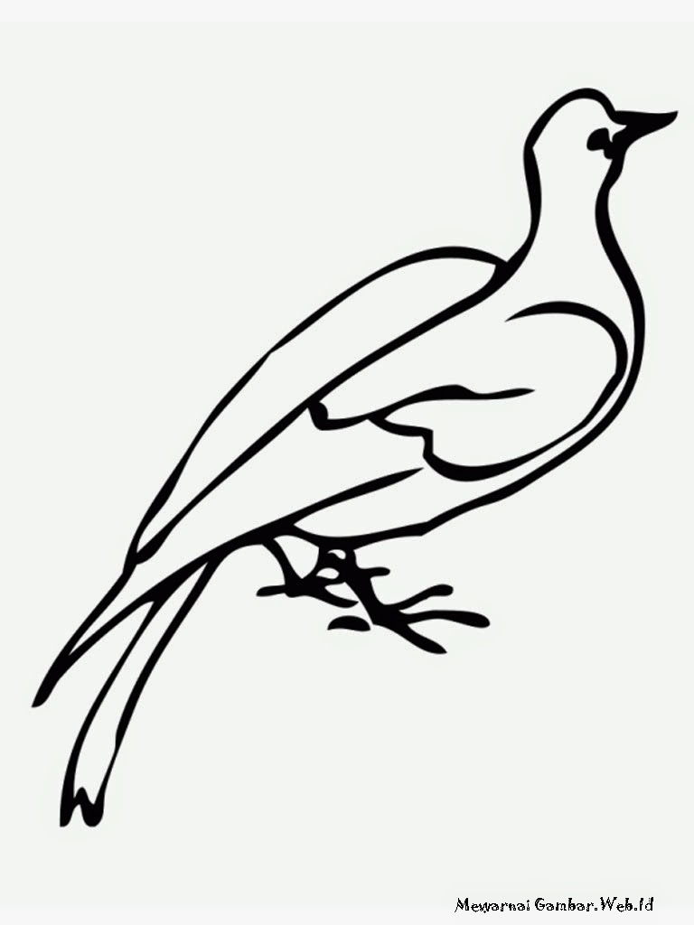 Mewarnai Gambar Burung Merpati Diwarnai Anak Tk Kaligrafi Bisa Warnai