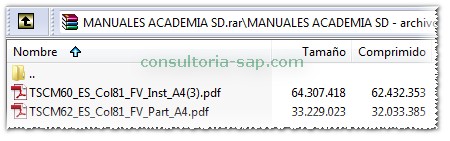 Manuales SAP SD