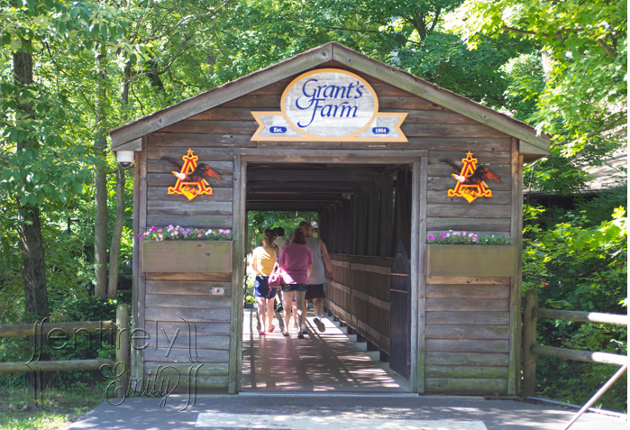 Entirely Emily: Things I Love about St.Louis: Grant&#39;s Farm