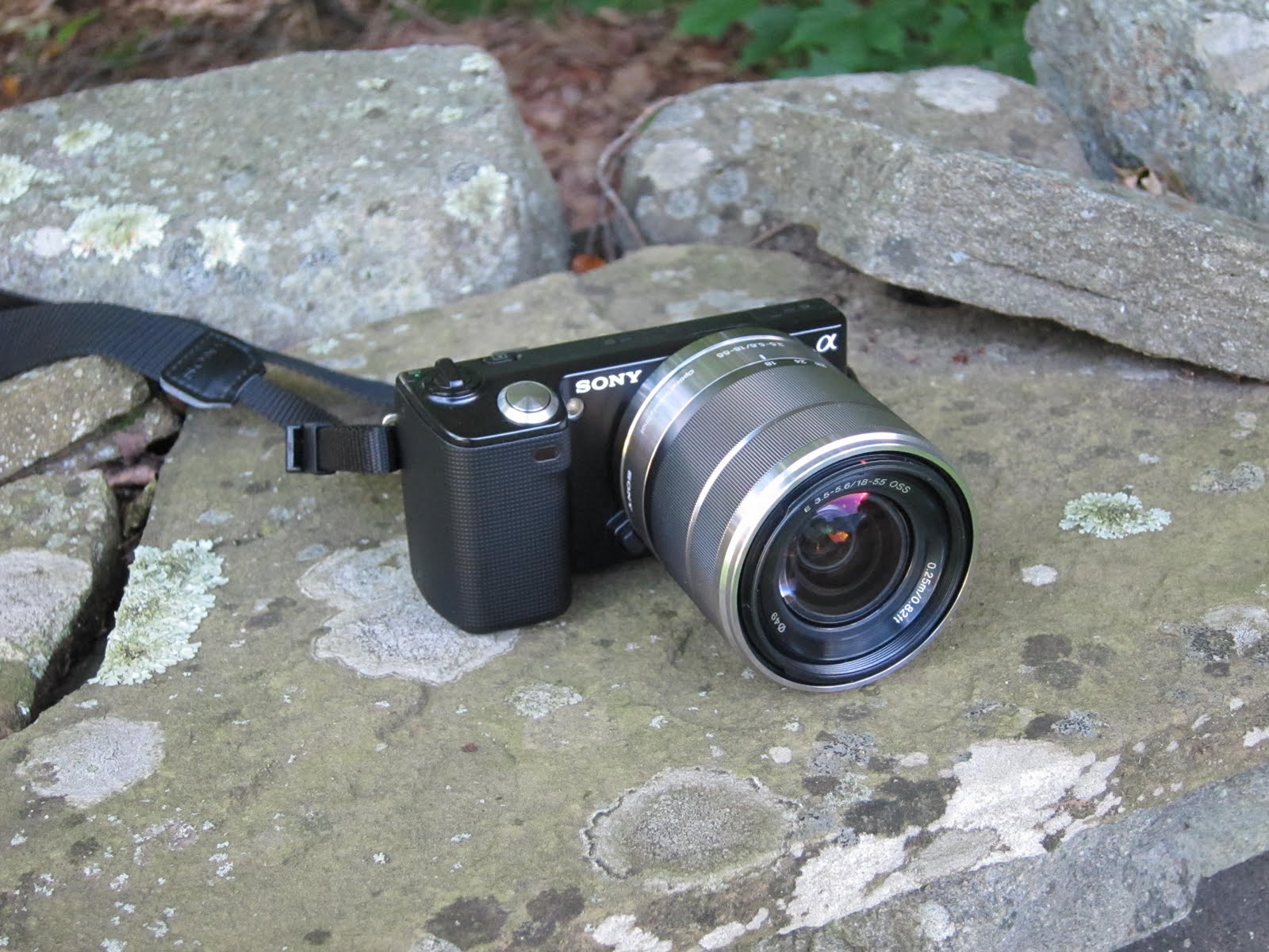 Finley Photography Sony SEL1855 1855mm F/3.55.6 (Lens Review)