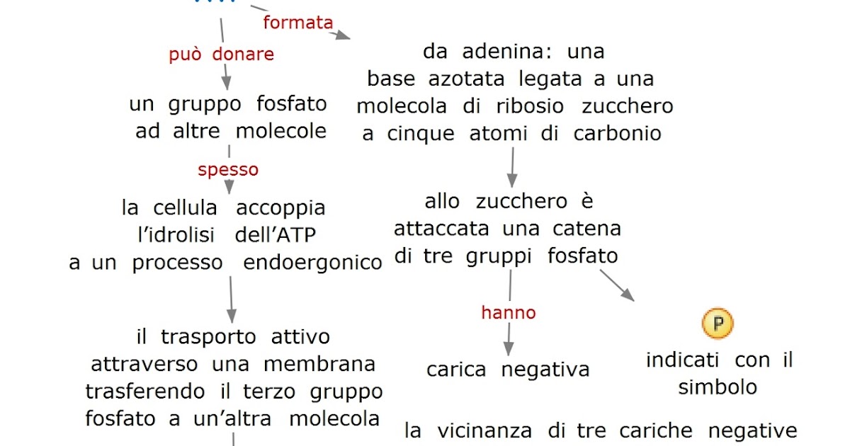 Paradiso delle mappe ATP