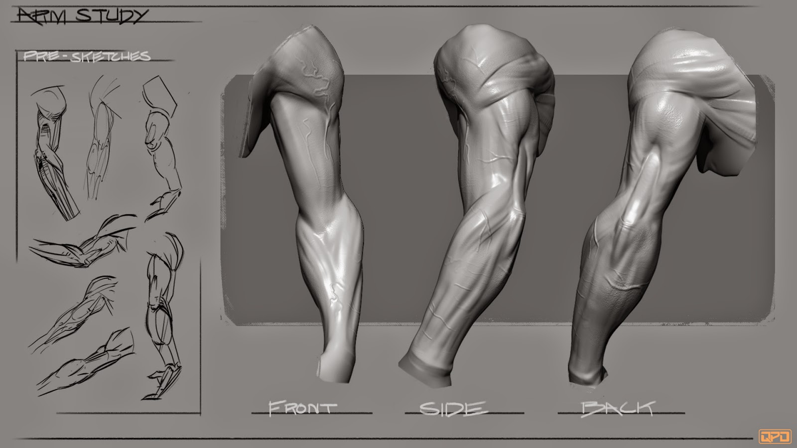 QPD 3D Adventures Zbrush Arm Study