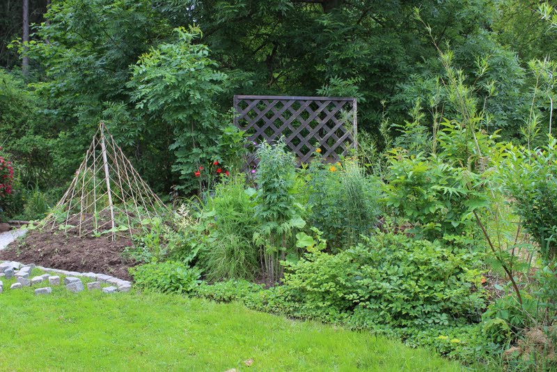 Wildes Gartenglück Kompostplatz neu gestaltet