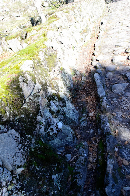 Citânia de Briteiros