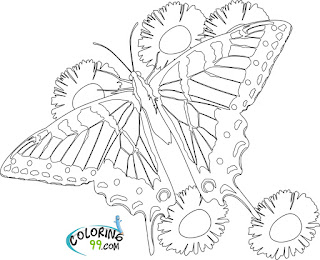 free butterfly and flower coloring pages to print
