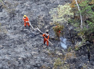 Incêndios na Chapada Diamantina são provocados por ação humana, dizem analistas