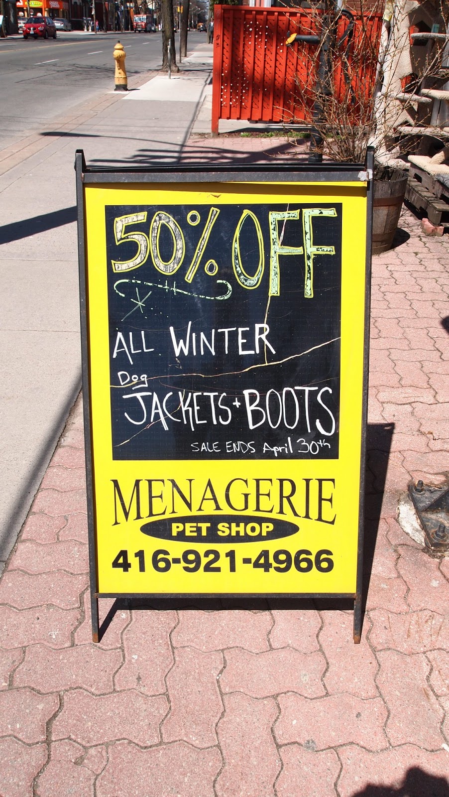 Cabbagetown Living CleanUp Cabbagetown