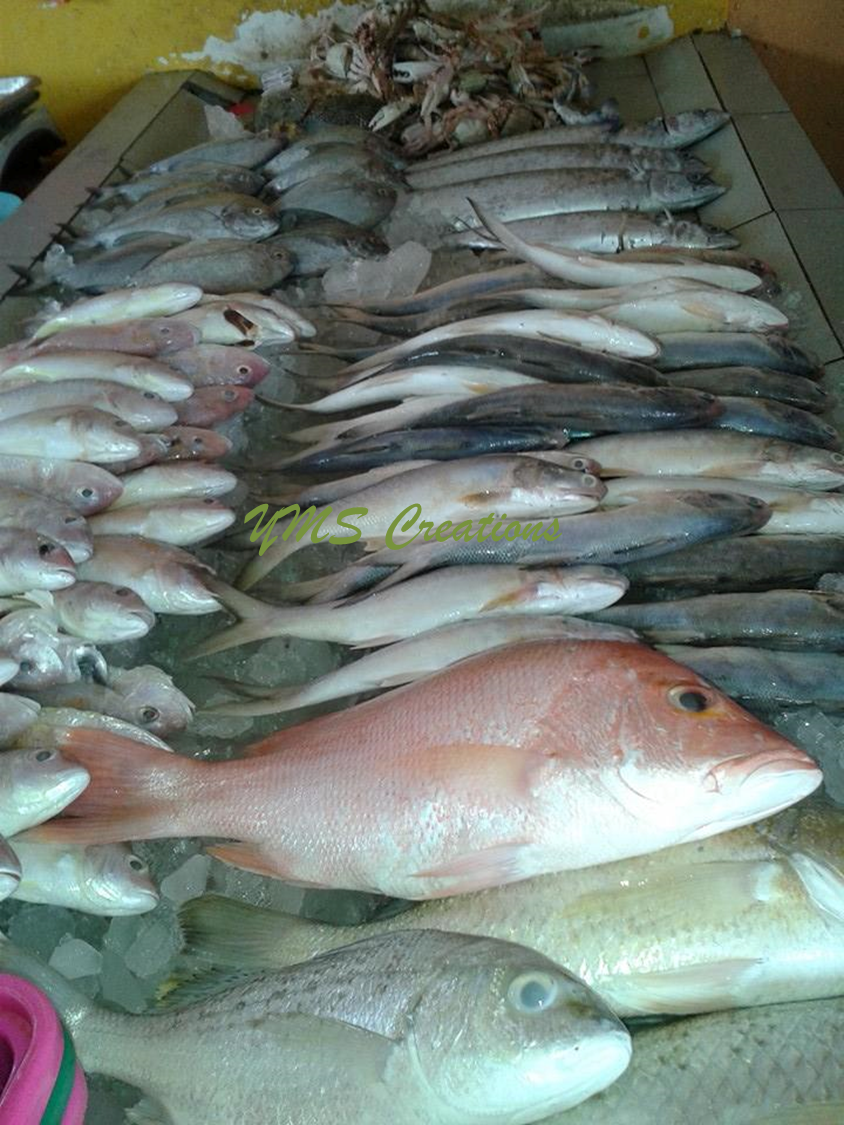 My Sweet Home: Ikan Oh Ikan...