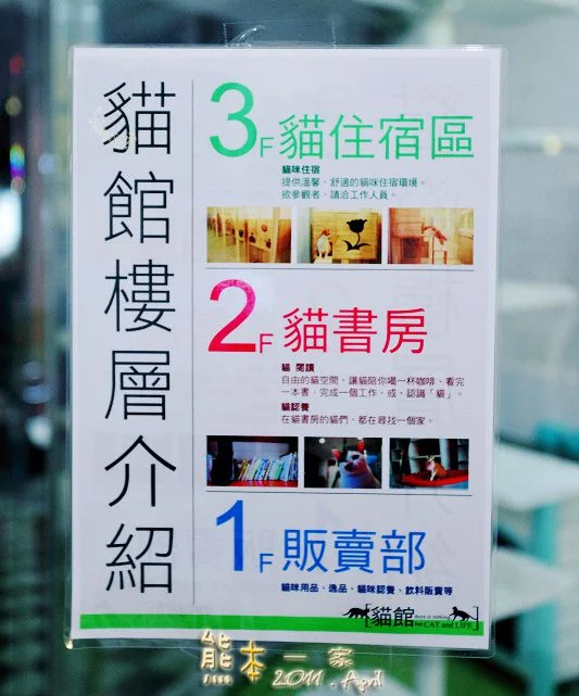 貓館|台北待認養貓。貓住宿。貓旅館