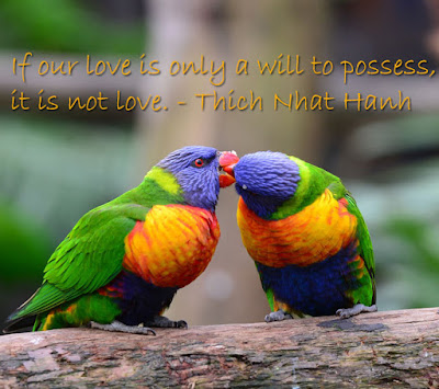 Birds Quotes