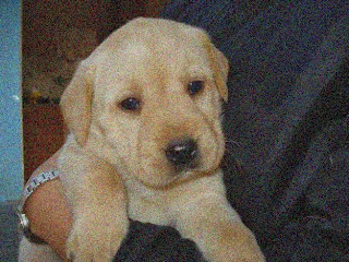 Clique aqui para acessar...