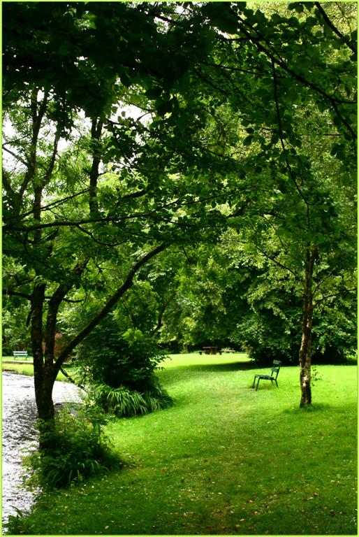 summer green in Oughterard Shrubbery© Annie Japaud 2013 summer green in Oughterard Shrubbery© Annie Japaud 2013, photography, blog, Oughterard, Galway, Ireland