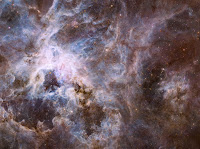 Optical Image of the Tarantula Nebula