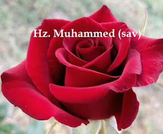  Hereafter, hell, heaven, life of the account, picture messages, how can we save our Hereafter, a day of the Muslims, how should we live, the prophet Muhammad was how one day passes