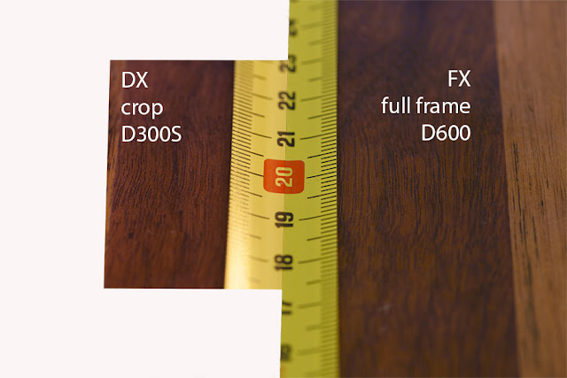 depth of field on full frame versus crop camera