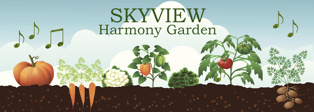 Skyview Harmony Garden
