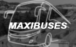 Maxibuses